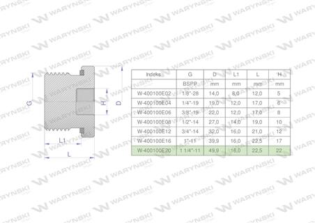 Korek hydrauliczny calowy (na imbus) 1 1/4" BSP ED Waryński-60614