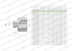 Tulejka różnicowa hydrauliczna calowa AB 1/8"GZ x 3/8"GW BSP Waryński ( sprzedawane po 2 )