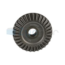  CS