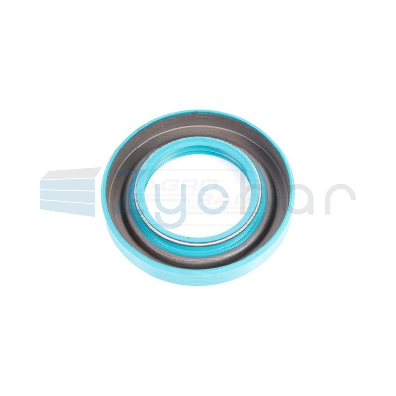  CS