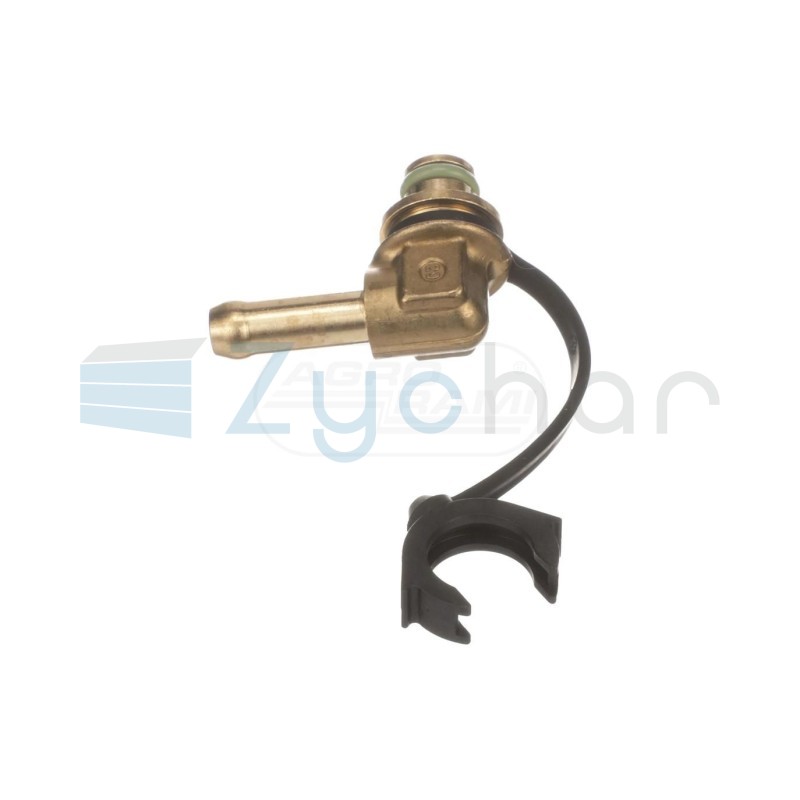  CS