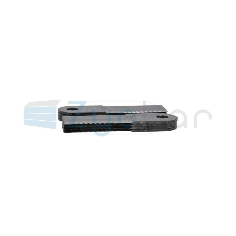  CS
