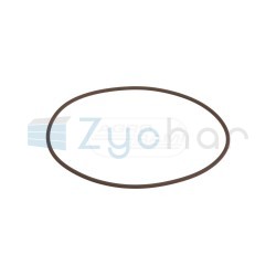 O-ring 14467281