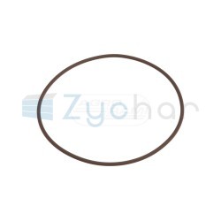 O-ring 14467281
