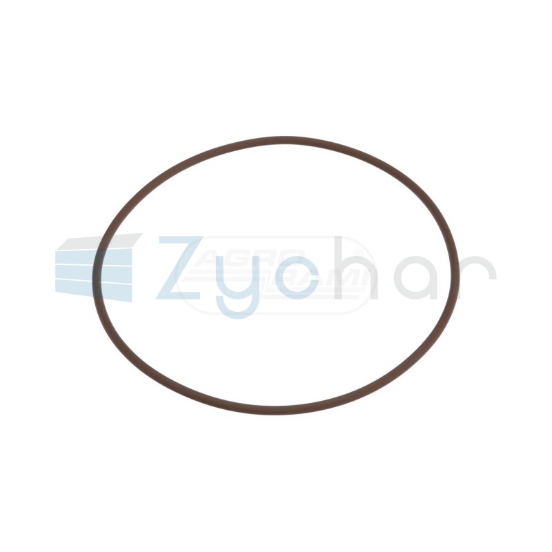 O-ring 14467281