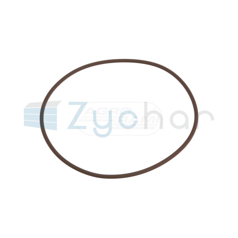 O-ring 14467281