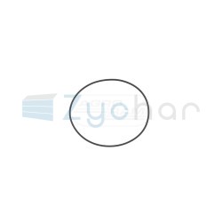  EN