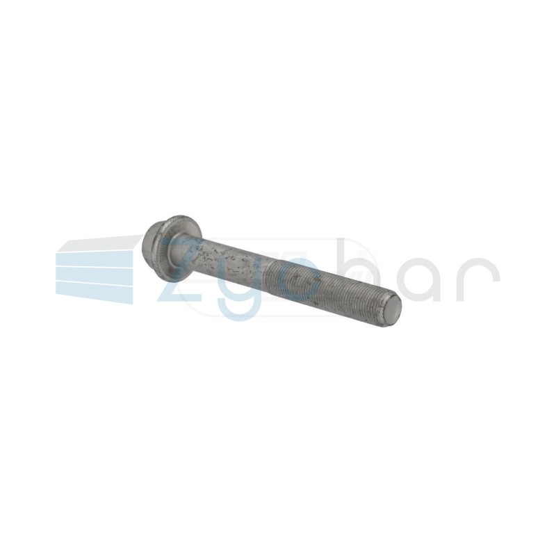  CS