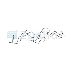  CS