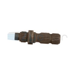  CS
