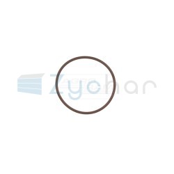  EN