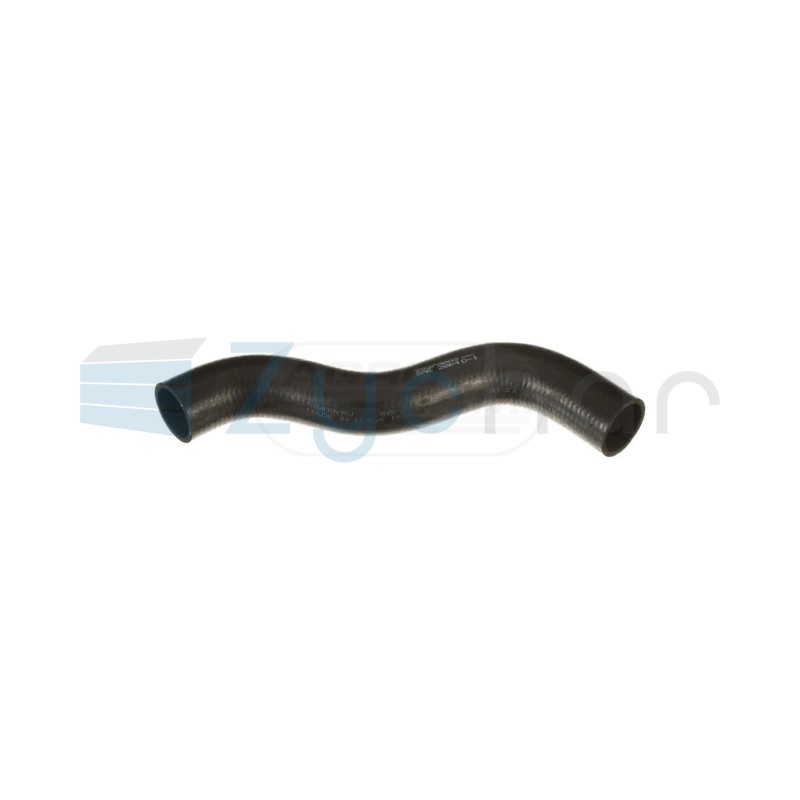  CS