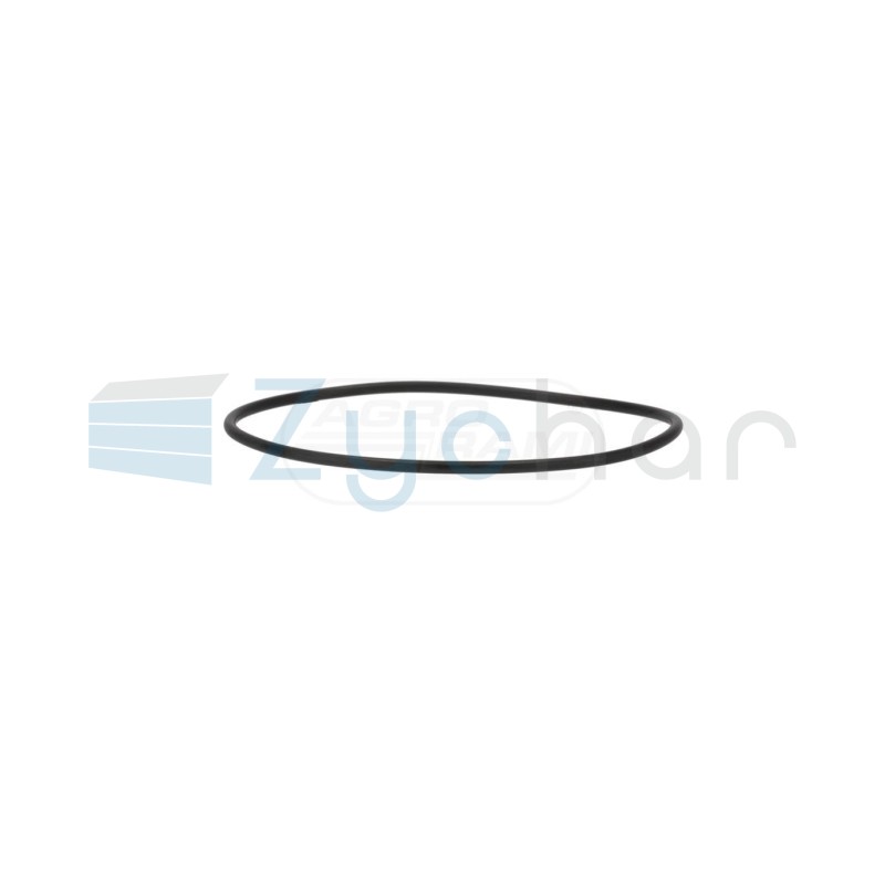  CS
