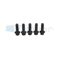  CS