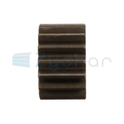  CS