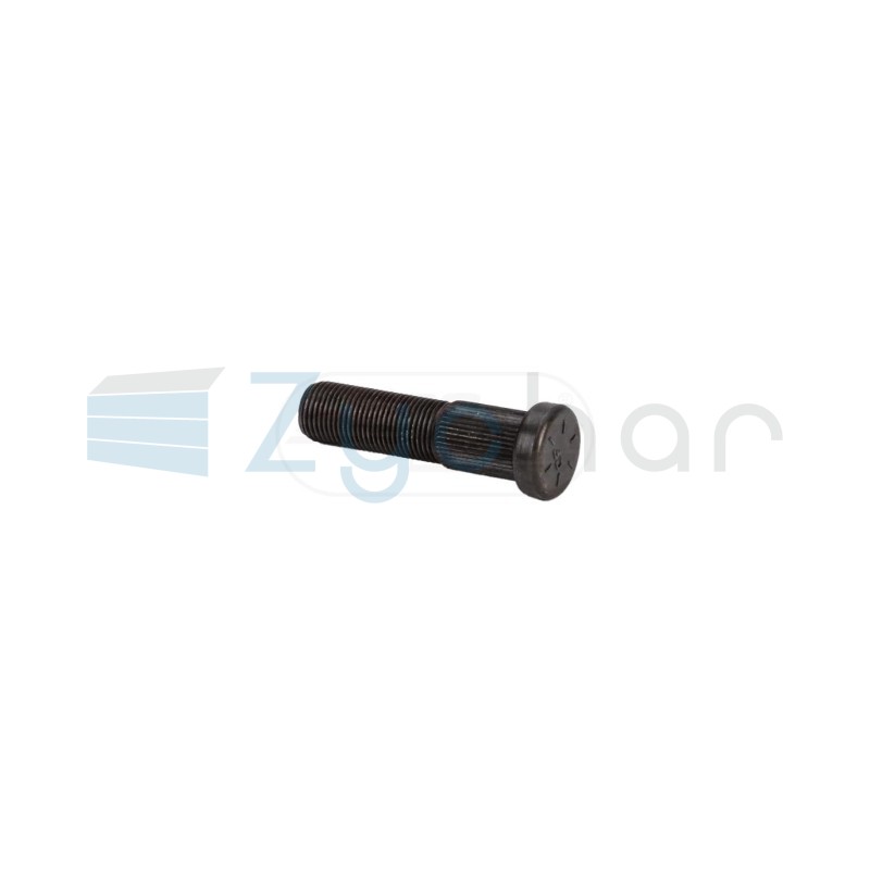  CS