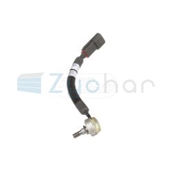  CS