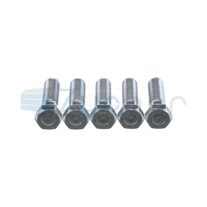  CS