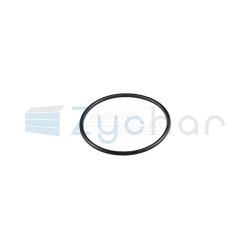  EN