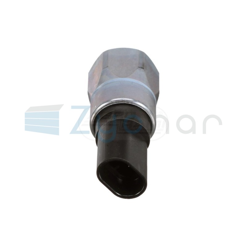  CS