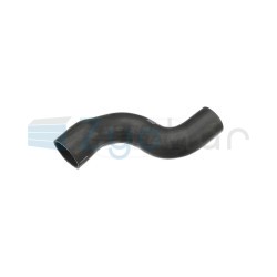  CS
