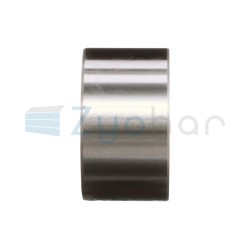  CS
