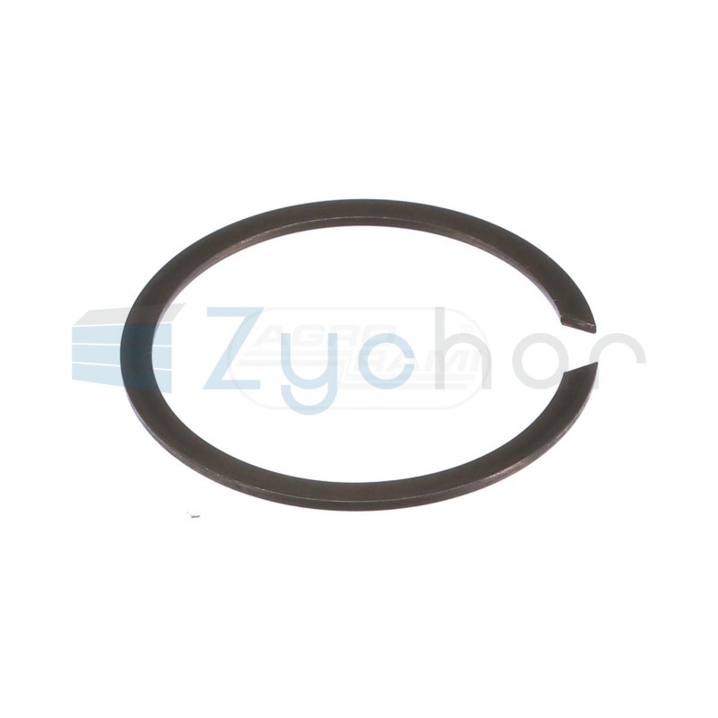  CS