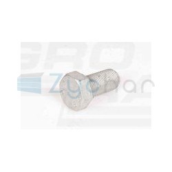 Wkręt 15983824 Case IH 15983824