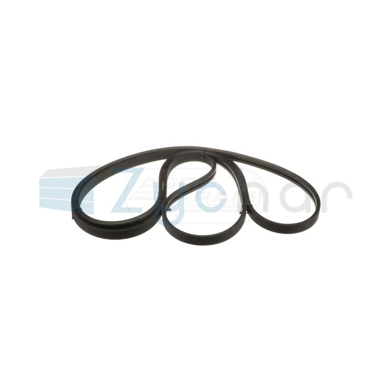 Pas szarpacza tył 84076421 Case IH 84076421
