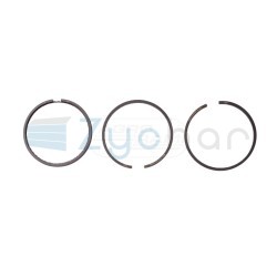  DE