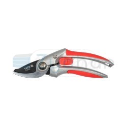  CS