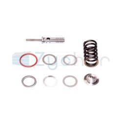  CS