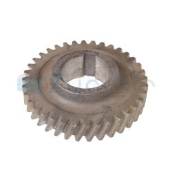  CS