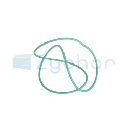  CS