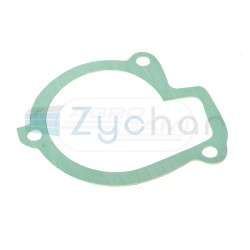 Uszczelka 501307048B
