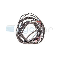  EN