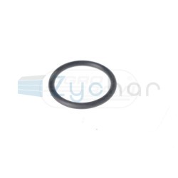  EN