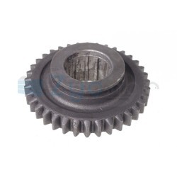  CS
