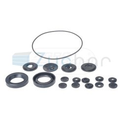 Kpl naprawczy pompy NSZ-100A-3