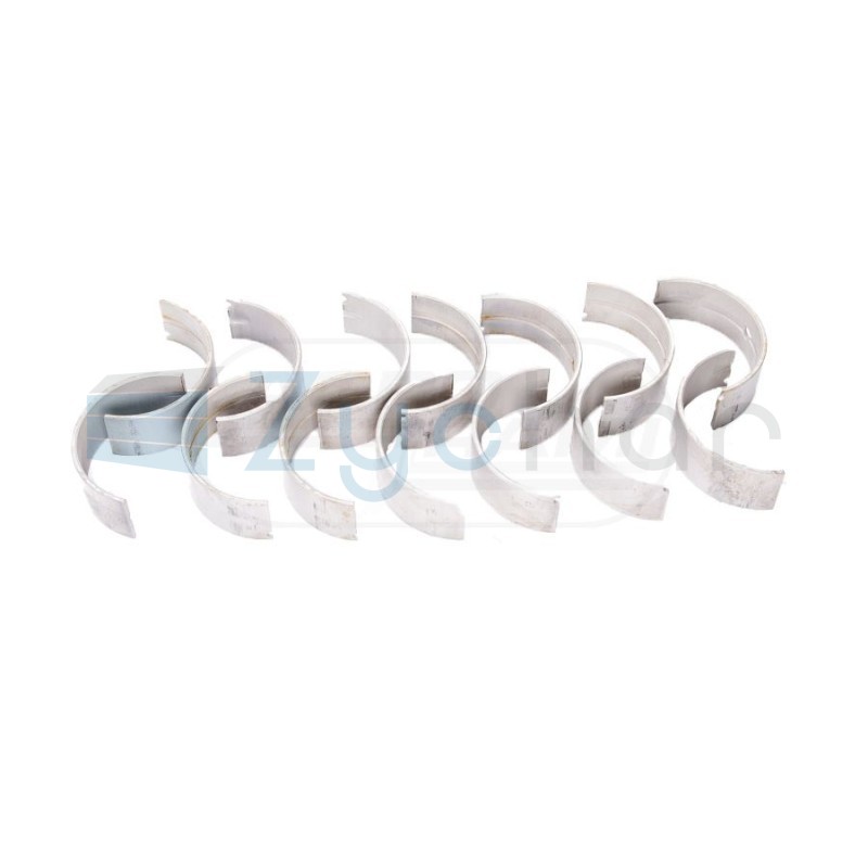  CS