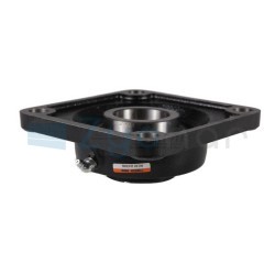  CS