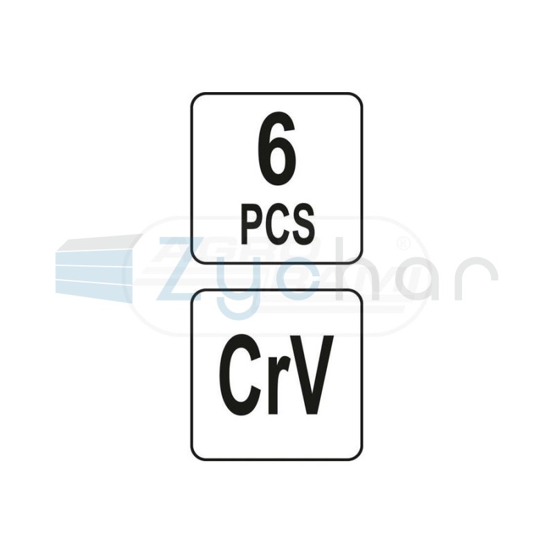  CS