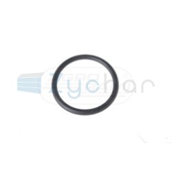  EN