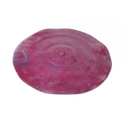  EN