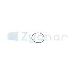  EN