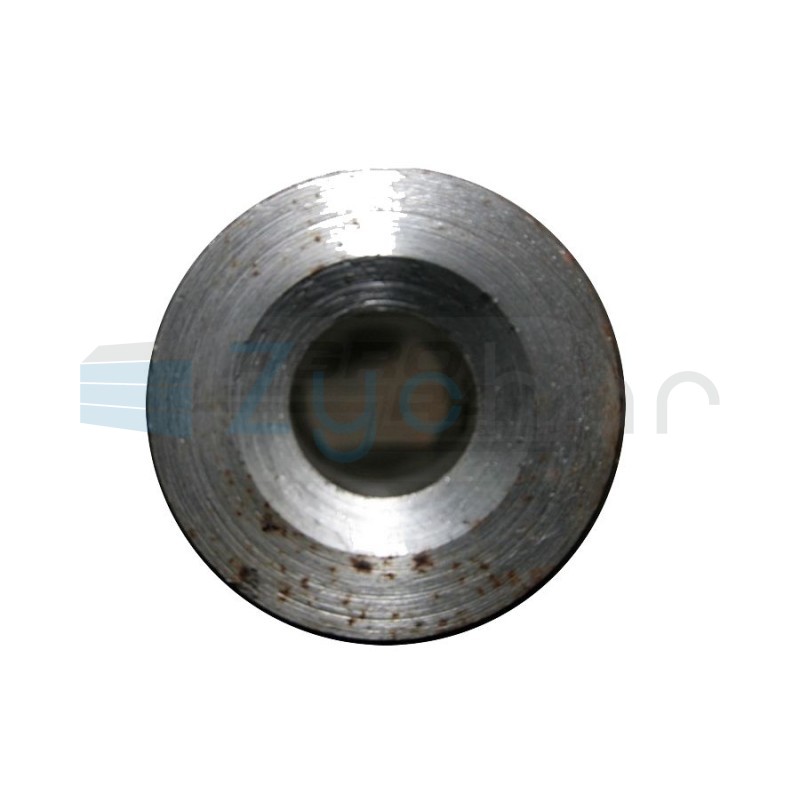 Widłak FI-25X8 kołek WPT-300 310100101020S