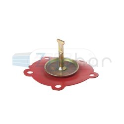  EN