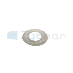  CS