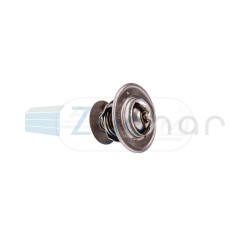 Termostat 902001123