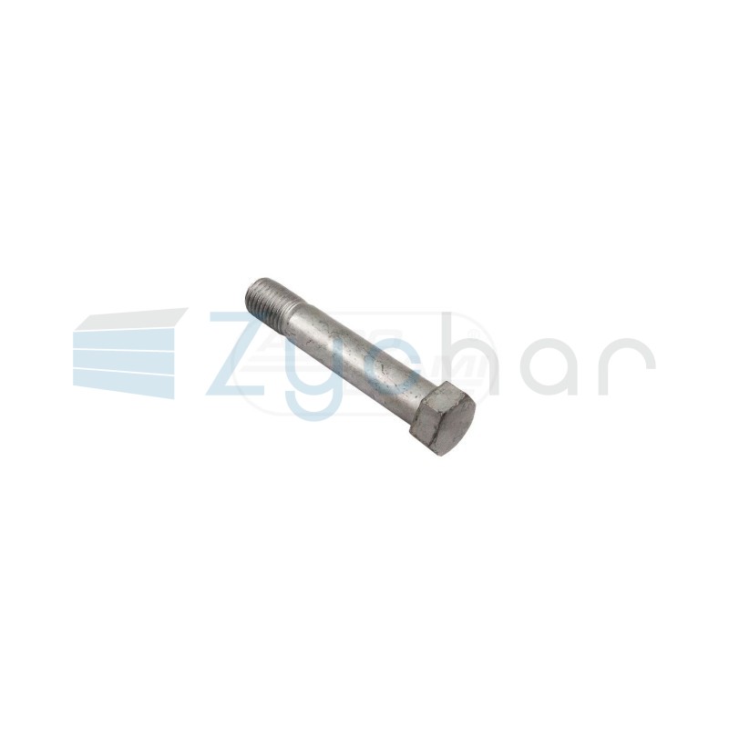 Śruba M20x110 KK032803